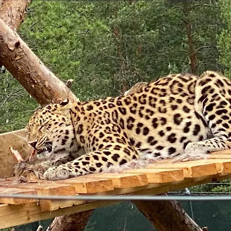 Nyaraló At Norefjell! Perfect For Families With Children
