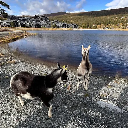 At Norefjell! Perfect For Families With Children