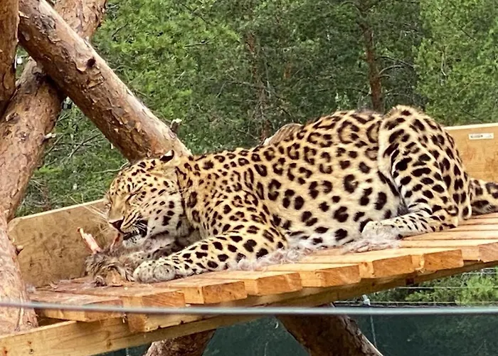 Дом отдыха At Norefjell! Perfect For Families With Children