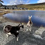 At Norefjell! Perfect For Families With Children